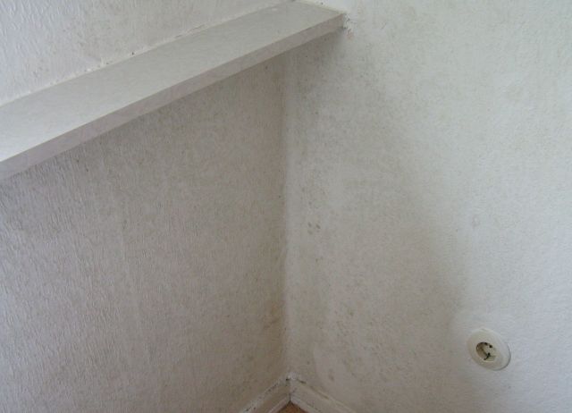 BAU.DE / BAU-Forum: 1. Bild zu Antwort "Schimmel Innend&auml;mmung: Foto der betroffenen Stelle" auf die Frage "Schimmelbildung nach Innend&auml;mmung: Ursachen, Risiken & Sanierung in Altbauwohnung?" im BAU-Forum "Dach"