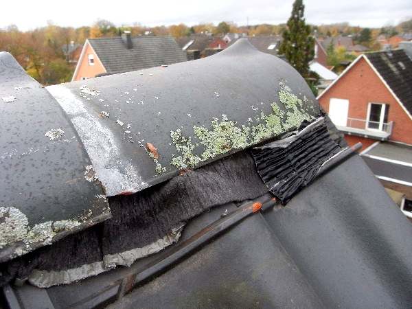 BAU.DE / BAU-Forum: 2. Bild zu Frage "Schiefe Firstpfannen nach Dachsanierung: Ursachen, Risiken & Korrektur durch Fachmann?" im BAU-Forum "Dach" BAU.DE / BAU-Forum: 2. Bild zu Frage "Schiefe Firstpfannen nach Dachsanierung: Ursachen, Risiken & Korrektur durch Fachmann?" im BAU-Forum "Dach"