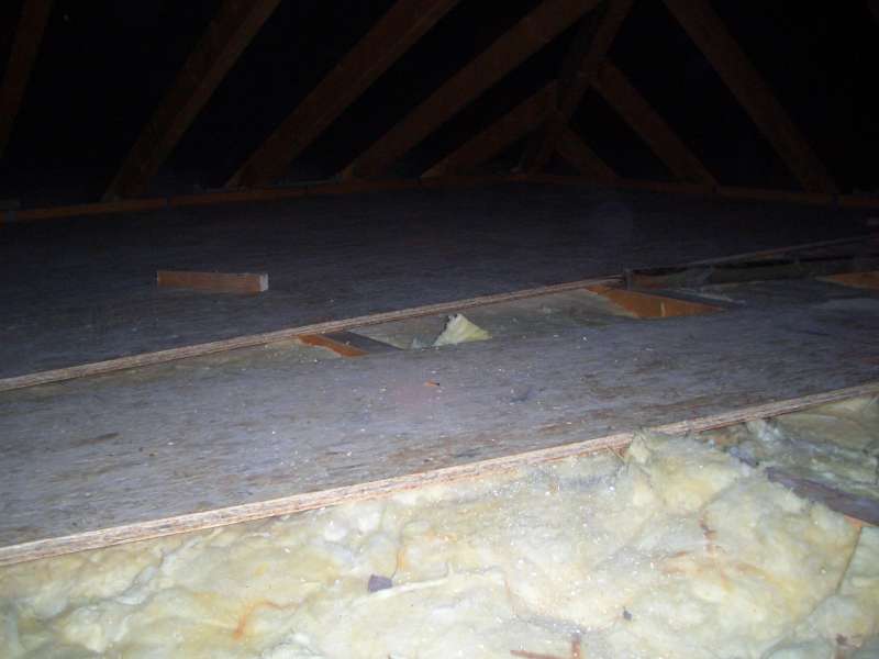 BAU.DE / BAU-Forum: 3. Bild zu Antwort "OSB-Platten entfernen? Feuchtigkeitsproblem im Ferienhaus" auf die Frage "Schimmel zwischen D&auml;mmung & OSB: Ursachen finden, beseitigen + Vorbeugung?" im BAU-Forum "Dach"