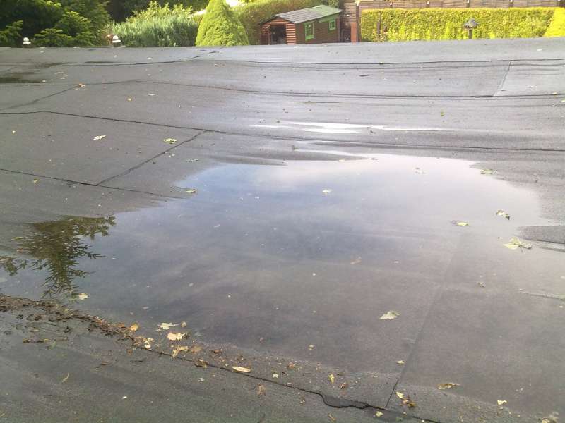 BAU.DE / BAU-Forum: 2. Bild zu Frage "Pf&uuml;tze auf Flachdach im Garten: Ursachen, Risiken & Sofortma&szlig;nahmen?" im BAU-Forum "Dach"