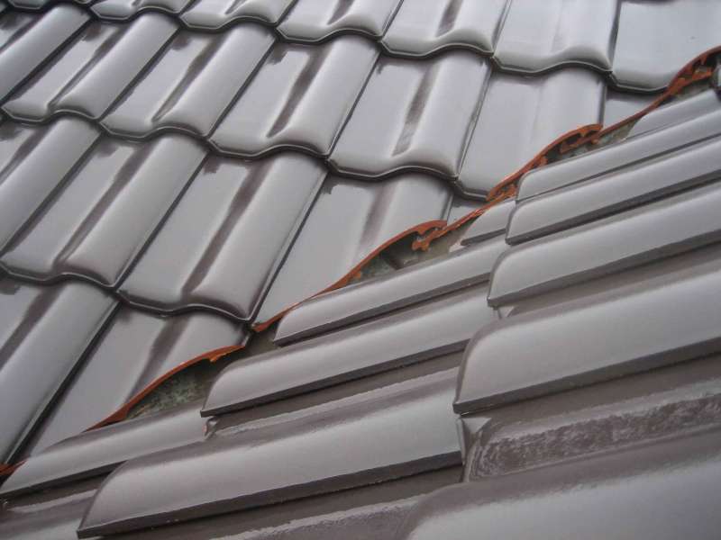 BAU.DE / BAU-Forum: 1. Bild zu Frage "Hohlkehle abdichten gegen V&ouml;gel & Marder: Methoden, Kosten & Materialien?" im BAU-Forum "Dach"