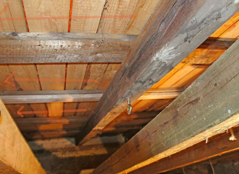 BAU.DE / BAU-Forum: 1. Bild zu Frage "Flachdach Hinterl&uuml;ftung: 100 m&sup2; optimal planen &ndash; Kosten, Aufbau & Entl&uuml;ftung" im BAU-Forum "Dach"