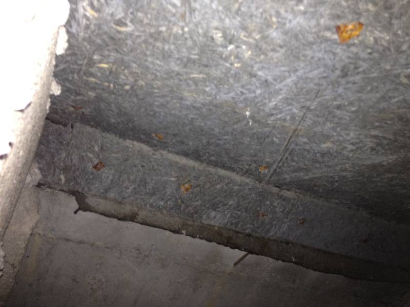 BAU.DE / BAU-Forum: 1. Bild zu Frage "Drempel d&auml;mmen & Heraklith-Wand versetzen: Aufbau, Risiken & Kosten im Altbau?" im BAU-Forum "Dach"