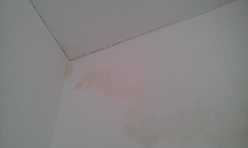 BAU.DE / BAU-Forum: 1. Bild zu Frage "Schwitzwasser oder Undichtigkeit im Dach? Ursachen, Erkennung & Sofortma&szlig;nahmen" im BAU-Forum "Dach"