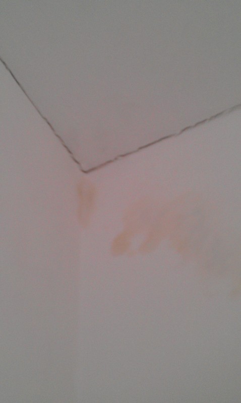 BAU.DE / BAU-Forum: 2. Bild zu Frage "Schwitzwasser oder Undichtigkeit im Dach? Ursachen, Erkennung & Sofortma&szlig;nahmen" im BAU-Forum "Dach"