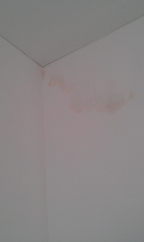 BAU.DE / BAU-Forum: 3. Bild zu Frage "Schwitzwasser oder Undichtigkeit im Dach? Ursachen, Erkennung & Sofortma&szlig;nahmen" im BAU-Forum "Dach"