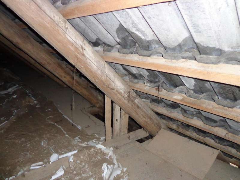 BAU.DE / BAU-Forum: 1. Bild zu Antwort "Hier die Bilder" auf die Frage "Betondachpfannen nass: Ursachen, Risiken & Sanierungskosten beim Hauskauf?" im BAU-Forum "Dach"