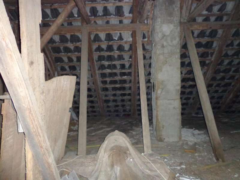 BAU.DE / BAU-Forum: 2. Bild zu Antwort "Hier die Bilder" auf die Frage "Betondachpfannen nass: Ursachen, Risiken & Sanierungskosten beim Hauskauf?" im BAU-Forum "Dach"