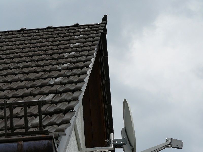 BAU.DE / BAU-Forum: 1. Bild zu Antwort "Ziegelverf&auml;rbung: Entscheidung nach Monaten &ndash; Austausch erfolgt!" auf die Frage "Neue Dacheindeckung: Ziegelverf&auml;rbungen &ndash; Ursachen, Risiken & Gew&auml;hrleistung in Bayern?" im BAU-Forum "Dach"