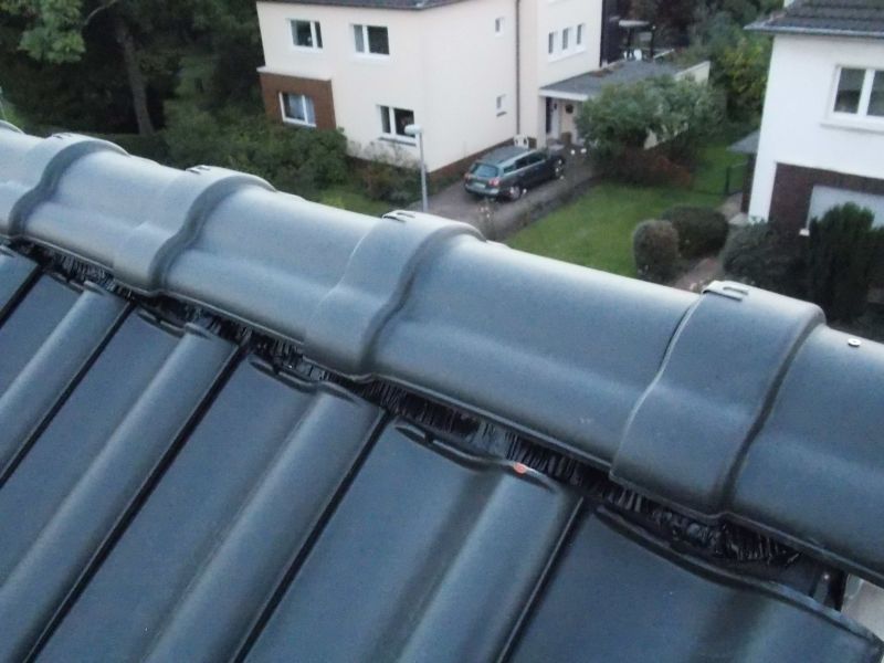 BAU.DE / BAU-Forum: 2. Bild zu Frage "Trockenfirst undicht? &Uuml;berdeckung pr&uuml;fen, Probleme vermeiden & Dachdecker-Pflichten" im BAU-Forum "Dach"