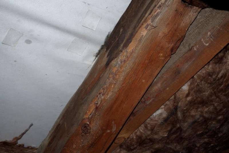 BAU.DE / BAU-Forum: 1. Bild zu Frage "Nasse Dachbalken nach Dachdeckung: Ursachen, M&auml;ngelbeseitigung & Fristen?" im BAU-Forum "Dach"