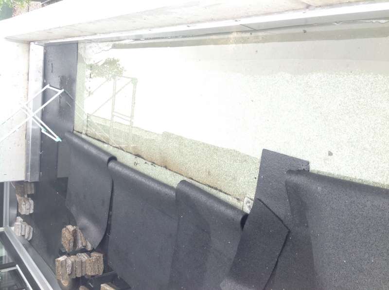 BAU.DE / BAU-Forum: 2. Bild zu Frage "Pf&uuml;tzenbildung auf sanierter Terrasse: Ursachen, Risiken & L&ouml;sungen?" im BAU-Forum "Dach"