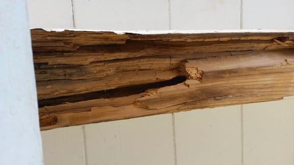 BAU.DE / BAU-Forum: 2. Bild zu Frage "Morsche Dachbalken nach 10 Jahren: Ursachen, Sanierung & Kosten&uuml;bernahme?" im BAU-Forum "Dach"