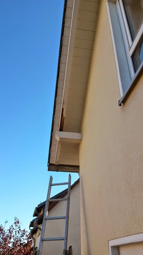 BAU.DE / BAU-Forum: 4. Bild zu Frage "Morsche Dachbalken nach 10 Jahren: Ursachen, Sanierung & Kosten&uuml;bernahme?" im BAU-Forum "Dach"