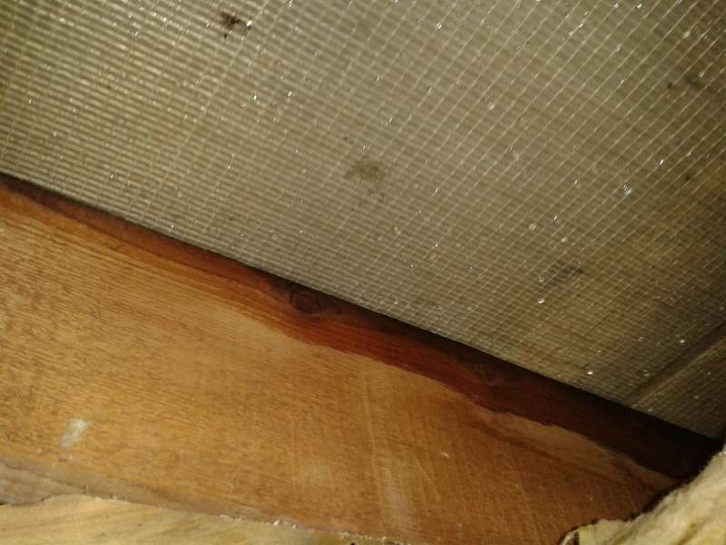 BAU.DE / BAU-Forum: 2. Bild zu Frage "Zwischensparrend&auml;mmung feucht: Ursachen, Folgen & Sanierung bei Tauwasser?" im BAU-Forum "Dach"