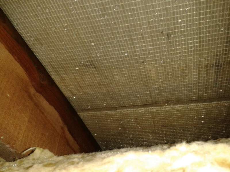 BAU.DE / BAU-Forum: 3. Bild zu Frage "Zwischensparrend&auml;mmung feucht: Ursachen, Folgen & Sanierung bei Tauwasser?" im BAU-Forum "Dach"