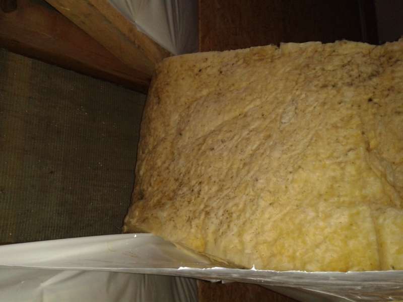 BAU.DE / BAU-Forum: 4. Bild zu Frage "Zwischensparrend&auml;mmung feucht: Ursachen, Folgen & Sanierung bei Tauwasser?" im BAU-Forum "Dach"