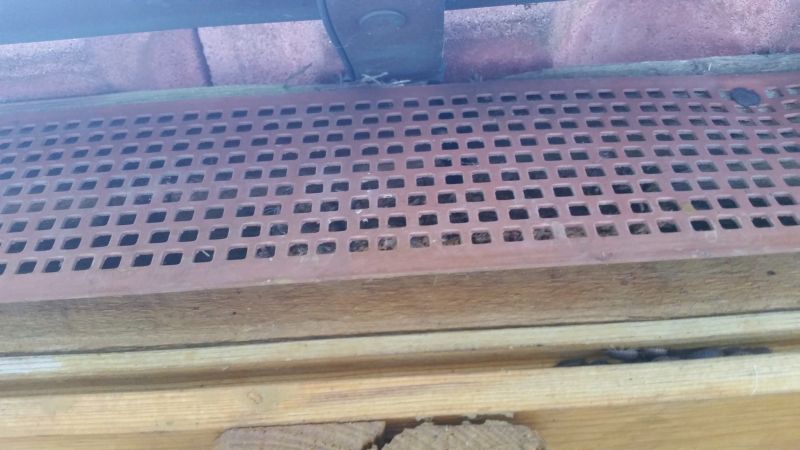 BAU.DE / BAU-Forum: 1. Bild zu Antwort "Fotos: Dach, Photovoltaik und L&uuml;ftungsgitter im Detail" auf die Frage "Wasser aus L&uuml;ftungsgitter am Dach: Ursachen, Folgen & L&ouml;sungen bei Regen?" im BAU-Forum "Dach"