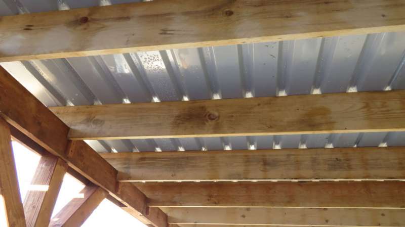 BAU.DE / BAU-Forum: 2. Bild zu Frage "Carport undicht trotz Trapezblech? Ursachen, L&ouml;sungen & Kondenswasser vermeiden" im BAU-Forum "Dach"