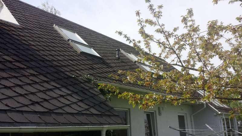 BAU.DE / BAU-Forum: 1. Bild zu Frage "Schieferdach reinigen & entmoosen: Welche Mittel f&uuml;r Gr&uuml;nbelag entfernen & Langzeitschutz?" im BAU-Forum "Dach"