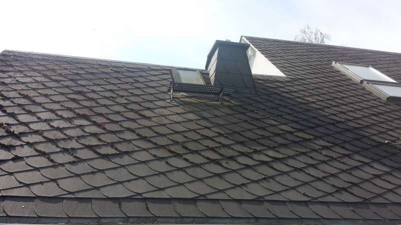 BAU.DE / BAU-Forum: 2. Bild zu Frage "Schieferdach reinigen & entmoosen: Welche Mittel f&uuml;r Gr&uuml;nbelag entfernen & Langzeitschutz?" im BAU-Forum "Dach"