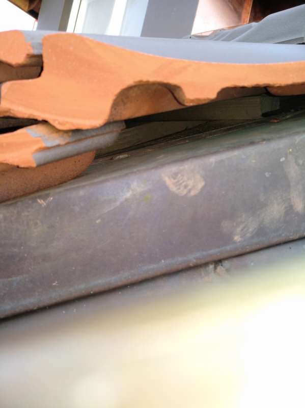 BAU.DE / BAU-Forum: 3. Bild zu Frage "Dachziegel schneiden: Öffnungen schließen & Schutz vor Kleintieren – Kosten & Methoden" im BAU-Forum "Dach" BAU.DE / BAU-Forum: 3. Bild zu Frage "Dachziegel schneiden: Öffnungen schließen & Schutz vor Kleintieren – Kosten & Methoden" im BAU-Forum "Dach"