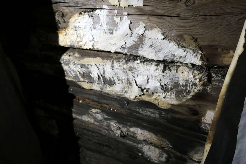 BAU.DE / BAU-Forum: 1. Bild zu Frage "Hausschwamm im Holzhaus? Erkennung, Risiken & Sofortma&szlig;nahmen bei Feuchtigkeitssch&auml;den" im BAU-Forum "Dach"