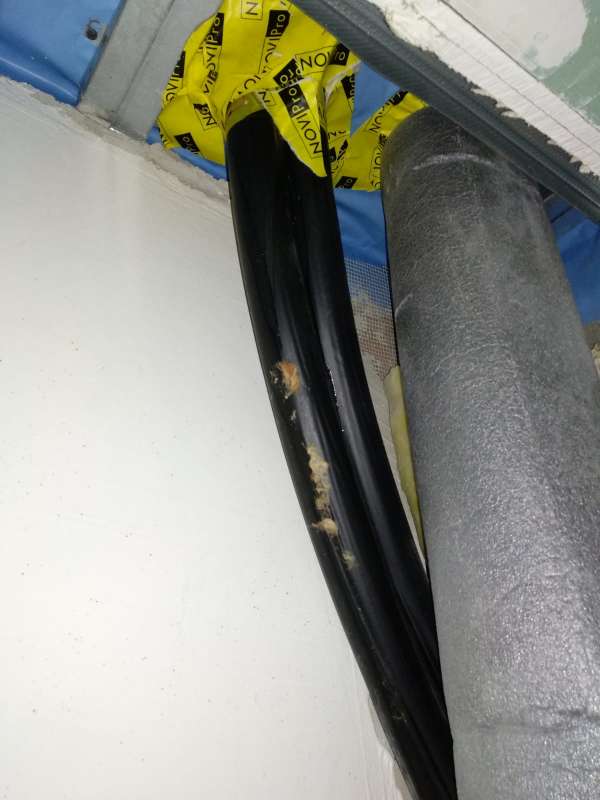 BAU.DE / BAU-Forum: 3. Bild zu Frage "Feuchtigkeit im Dach erkennen: Ursachen, Folgen & Sofortma&szlig;nahmen?" im BAU-Forum "Dach"