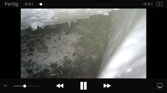 BAU.DE / BAU-Forum: 1. Bild zu Frage "Schimmel Unterspannbahn" im BAU-Forum "Dach"