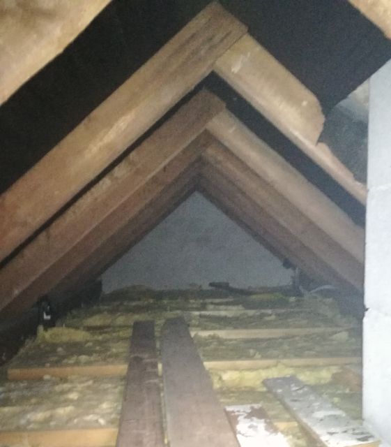 BAU.DE / BAU-Forum: 1. Bild zu Frage "Dampfbremse unter Rauspund" im BAU-Forum "Dach"