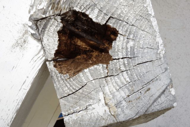 BAU.DE / BAU-Forum: 1. Bild zu Antwort "Muss vielleicht ein Bild vom Balken..." auf die Frage "Dachbalken/Pfette reparieren mit Montagekleber: Risiken, Alternativen & Kosten?" im BAU-Forum "Dach"