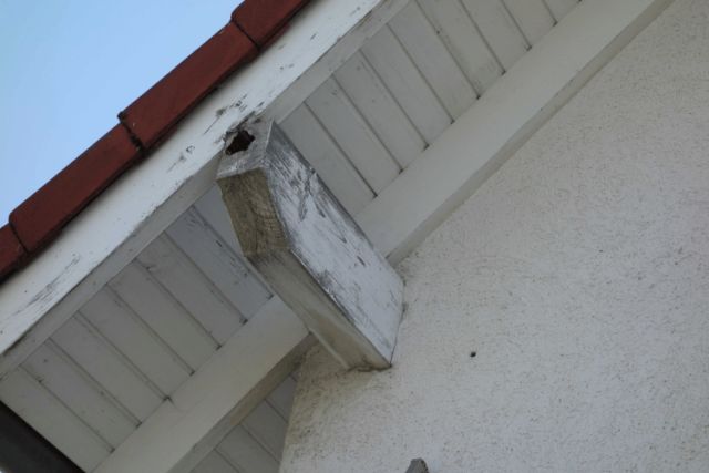 BAU.DE / BAU-Forum: 2. Bild zu Antwort "Muss vielleicht ein Bild vom Balken..." auf die Frage "Dachbalken/Pfette reparieren mit Montagekleber: Risiken, Alternativen & Kosten?" im BAU-Forum "Dach"