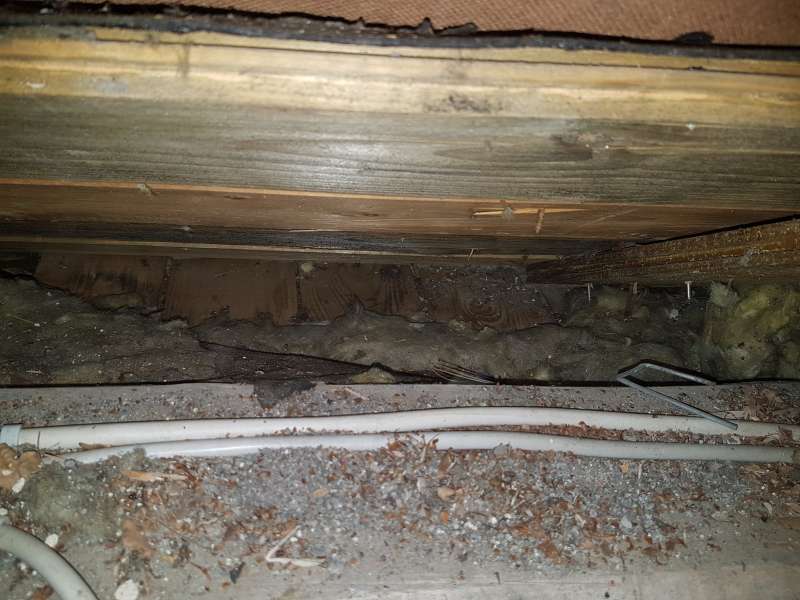 BAU.DE / BAU-Forum: 4. Bild zu Antwort "Hier sind weitere Infos und Fotos" auf die Frage "Bel&uuml;ftetes Dach erkennen: Anzeichen, Funktion & Risiken f&uuml;r die D&auml;mmung?" im BAU-Forum "Dach"