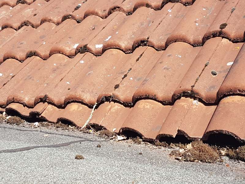 BAU.DE / BAU-Forum: 5. Bild zu Antwort "Hier sind weitere Infos und Fotos" auf die Frage "Bel&uuml;ftetes Dach erkennen: Anzeichen, Funktion & Risiken f&uuml;r die D&auml;mmung?" im BAU-Forum "Dach"