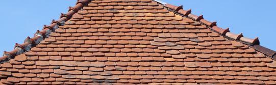 BAU.DE / BAU-Forum: 1. Bild zu Antwort "Berufshaie" auf die Frage "Frankfurter Pfanne rutscht: Ursachen, Kosten & Sanierung bei morschen Dachlatten?" im BAU-Forum "Dach"