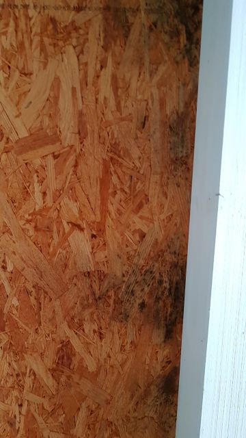BAU.DE / BAU-Forum: 2. Bild zu Frage "Flachdach Garage mit Trapezblech auf OSB Platten &nbsp;-&nbsp; schwarze Flecken auf Unterseite OSB innen" im BAU-Forum "Dach"