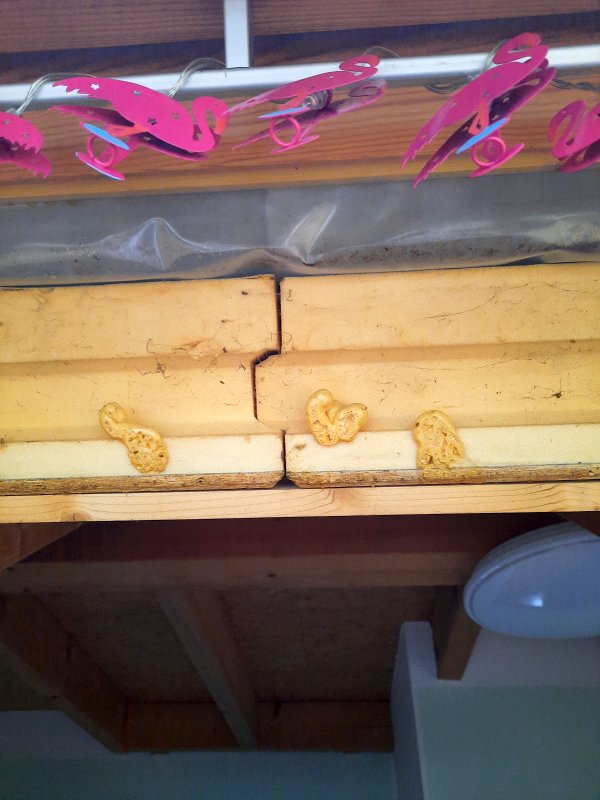 BAU.DE / BAU-Forum: 1. Bild zu Antwort "D&auml;mmung Pu 120 mm" auf die Frage "Zwischensparrend&auml;mmung zus&auml;tzlich zur Aufsparrend&auml;mmung: Was ist zu beachten?" im BAU-Forum "Dach"