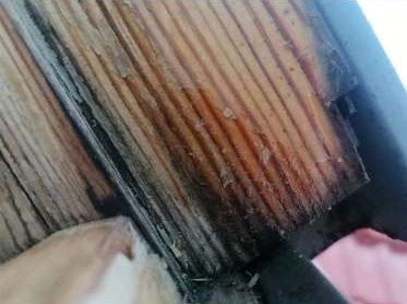 BAU.DE / BAU-Forum: 1. Bild zu Frage "Dachfenster undicht" im BAU-Forum "Dach"