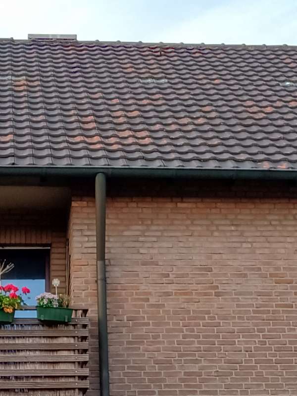 BAU.DE / BAU-Forum: 1. Bild zu Frage "R&ouml;tliche Stellen auf dem Ziegeldach" im BAU-Forum "Dach"