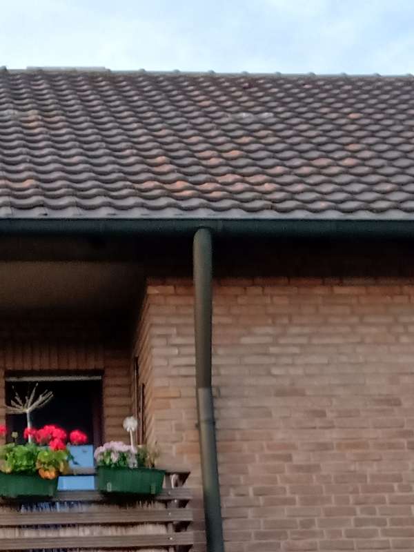 BAU.DE / BAU-Forum: 2. Bild zu Frage "R&ouml;tliche Stellen auf dem Ziegeldach" im BAU-Forum "Dach"