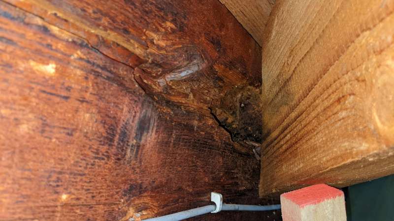BAU.DE / BAU-Forum: 4. Bild zu Frage "tragender Dachbalken morsche/poröse Stelle" im BAU-Forum "Dach" BAU.DE / BAU-Forum: 4. Bild zu Frage "tragender Dachbalken morsche/poröse Stelle" im BAU-Forum "Dach"