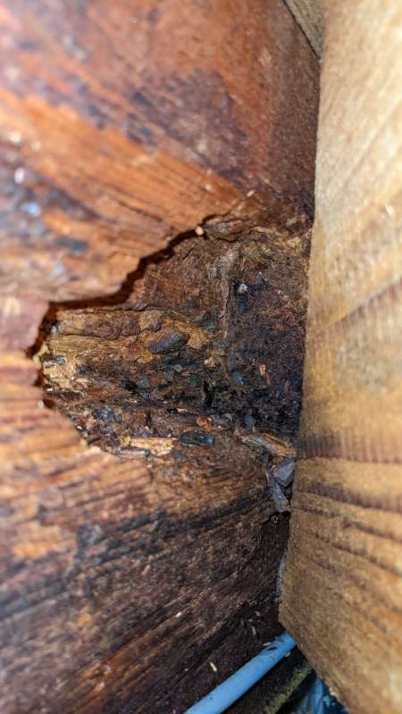 BAU.DE / BAU-Forum: 5. Bild zu Frage "tragender Dachbalken morsche/poröse Stelle" im BAU-Forum "Dach" BAU.DE / BAU-Forum: 5. Bild zu Frage "tragender Dachbalken morsche/poröse Stelle" im BAU-Forum "Dach"