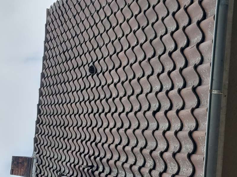 BAU.DE / BAU-Forum: 1. Bild zu Antwort "Foto" auf die Frage "Dachpfanne kaputt: Ersatz finden – Tipps zu Modellen, Material & Kosten im Kreis Lübbecke" im BAU-Forum "Dach" BAU.DE / BAU-Forum: 1. Bild zu Antwort "Foto" auf die Frage "Dachpfanne kaputt: Ersatz finden – Tipps zu Modellen, Material & Kosten im Kreis Lübbecke" im BAU-Forum "Dach"