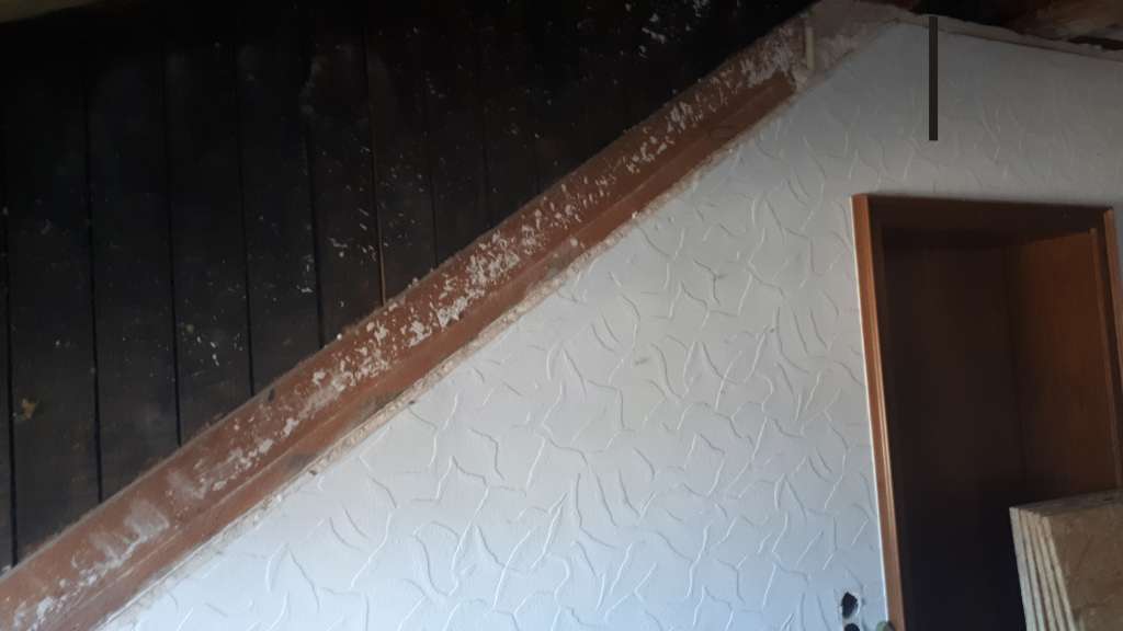 BAU.DE / BAU-Forum: 1. Bild zu Frage "Anbringung Dampfbremse an Gaube" im BAU-Forum "Dach"