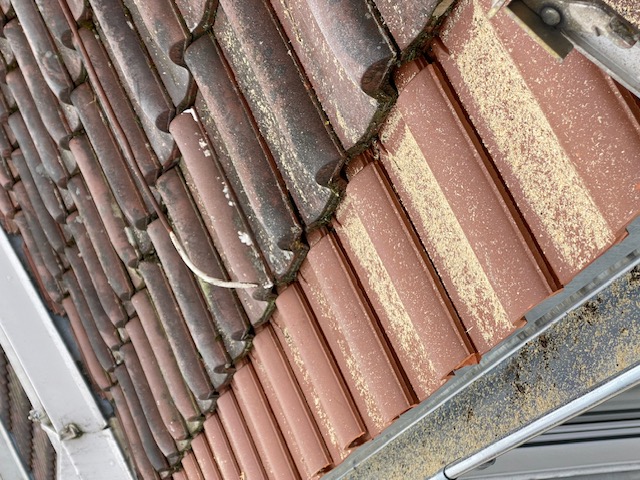 BAU.DE / BAU-Forum: 3. Bild zu Frage "Arbeit fachgerecht?" im BAU-Forum "Dach"