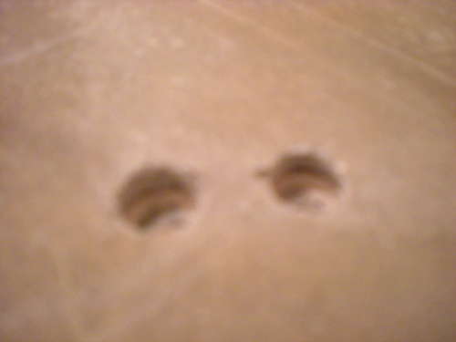 BAU.DE / BAU-Forum: 1. Bild zu Antwort "Bohrkern-Analyse: Material unter den Asbest-Bodenplatten" auf die Frage "Linoleum-Boden erkennen: Aufbau, Eigenschaften & Risiken unter alten Belägen?" im BAU-Forum "Estrich und Bodenbeläge" BAU.DE / BAU-Forum: 1. Bild zu Antwort "Bohrkern-Analyse: Material unter den Asbest-Bodenplatten" auf die Frage "Linoleum-Boden erkennen: Aufbau, Eigenschaften & Risiken unter alten Belägen?" im BAU-Forum "Estrich und Bodenbeläge"