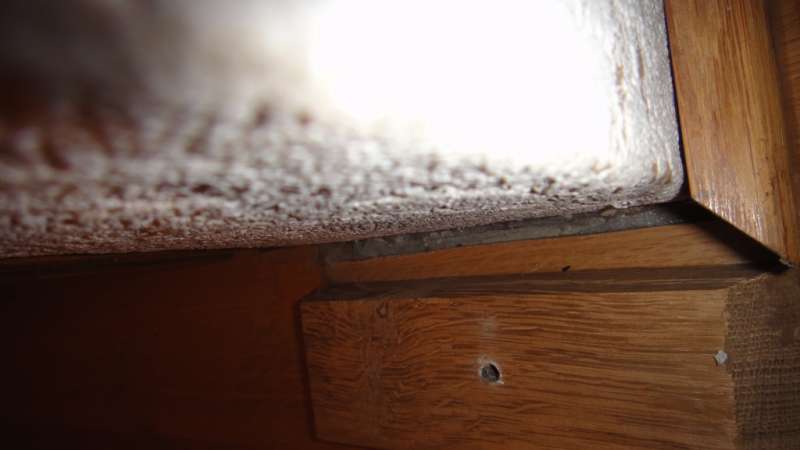 BAU.DE / BAU-Forum: 3. Bild zu Frage "Asbest erkennen in Bodenbelag, Wand & Kleber (Baujahr 1963): Vorgehen & Kosten?" im BAU-Forum "Estrich und Bodenbeläge" BAU.DE / BAU-Forum: 3. Bild zu Frage "Asbest erkennen in Bodenbelag, Wand & Kleber (Baujahr 1963): Vorgehen & Kosten?" im BAU-Forum "Estrich und Bodenbeläge"