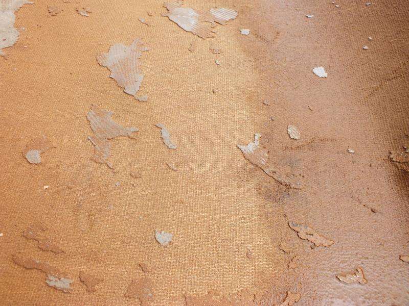 BAU.DE / BAU-Forum: 5. Bild zu Frage "PVC/Linoleum Boden entfernt: Asbestgefahr? Geruch, Entsorgung & Risiken im Altbau" im BAU-Forum "Estrich und Bodenbel&auml;ge"