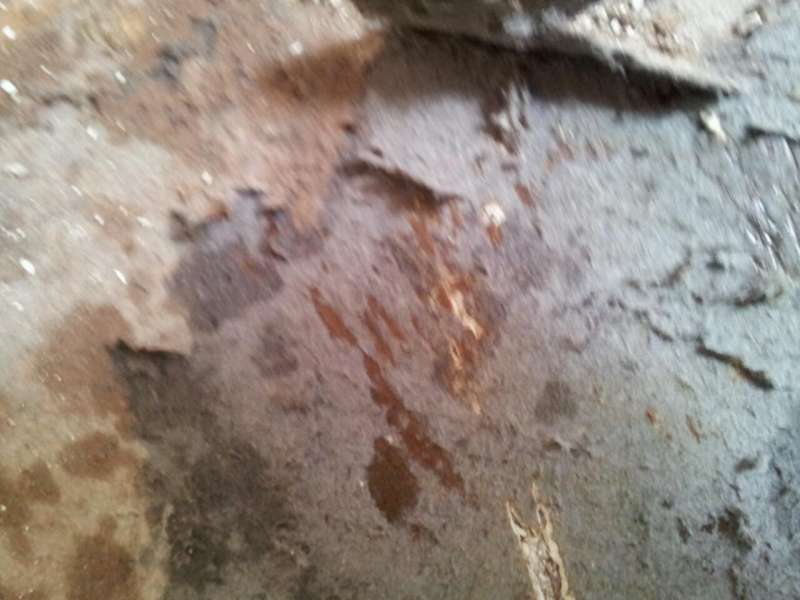 BAU.DE / BAU-Forum: 1. Bild zu Frage "Bodenbelag unter PVC: Schadstoffe, Risiken & Fachgerechte Analyse?" im BAU-Forum "Estrich und Bodenbel&auml;ge"