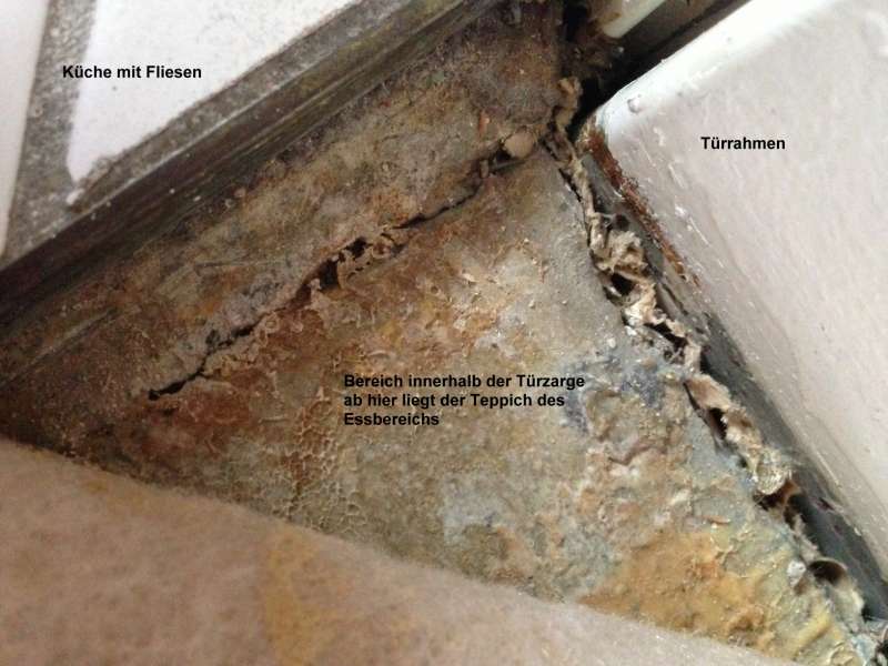 BAU.DE / BAU-Forum: 2. Bild zu Frage "Knackender Boden in Wohnung: Decken-Einsturzgefahr? Ursachen & Sofortma&szlig;nahmen" im BAU-Forum "Estrich und Bodenbel&auml;ge"